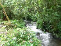 El Sendero de los Quetzales