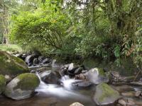 Cuesta de Piedra