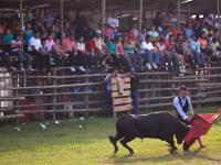 Fiesta de Toros en las Patronales de Bugaba - Fiestas de la Candelaria