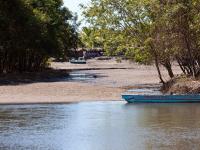 Vista desde el Muelle en Estero Rico - Marea Baja