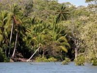 El Estero en Marea Alta - Estero Rico