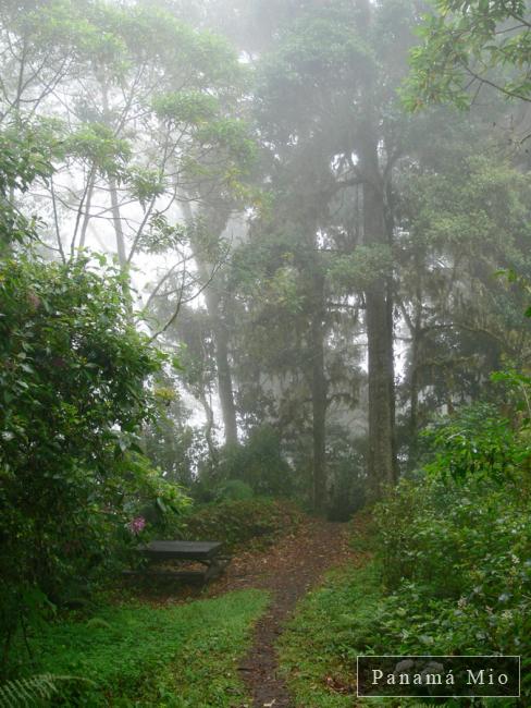 El Sendero de los Quetzales