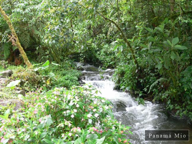 El Sendero de los Quetzales