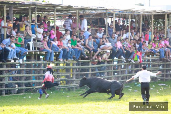 Fiesta de Toros durante La Candelaria - Patronales de Bugaba