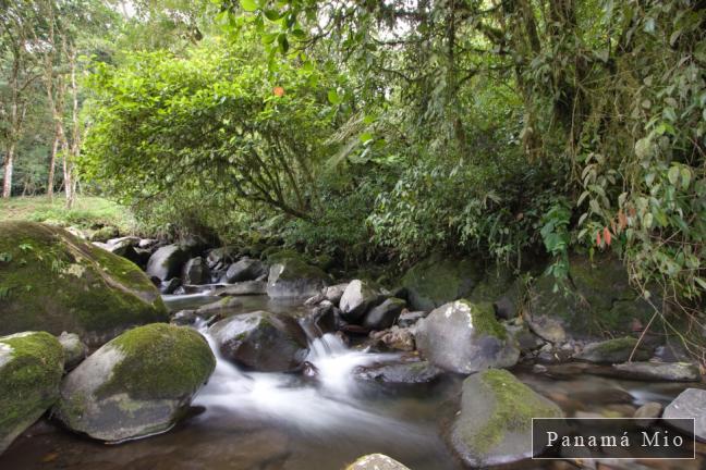 Cuesta de Piedra