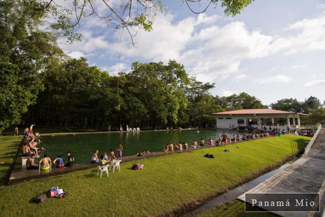 Piscina en el Borinquito - La Concepción, Bugaba