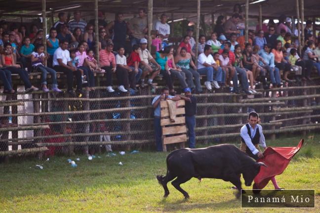 Fiesta de Toros en las Patronales de Bugaba - Fiestas de la Candelaria
