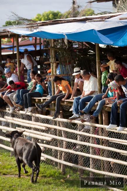 "La Barrera" en las Fiestas de la Candelaria