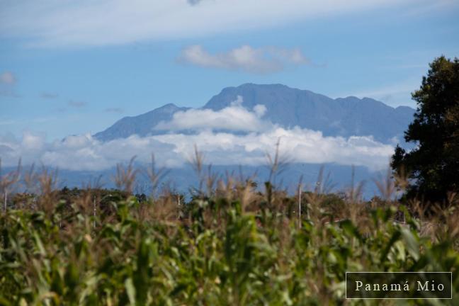 Vista de Volcán Barú desde La Concepción