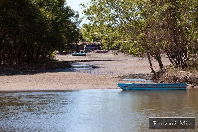 Vista desde el Muelle en Estero Rico - Marea Baja