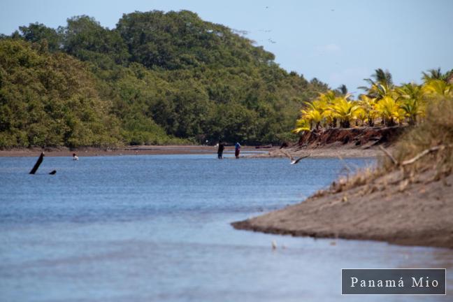 El Estero en Estero Rico