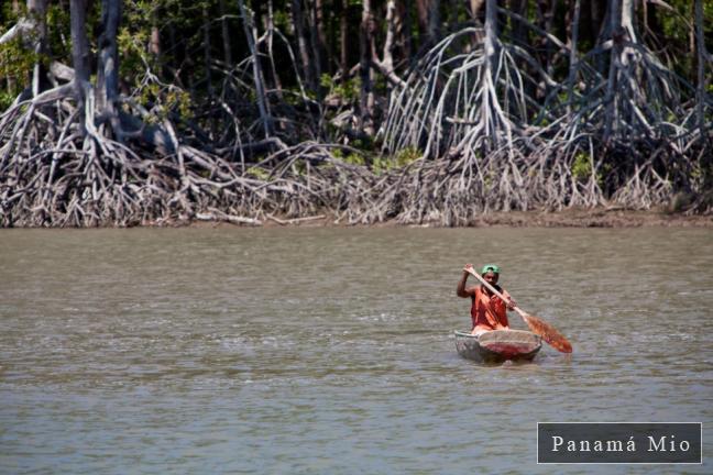 Estero Rico, Chiriqui