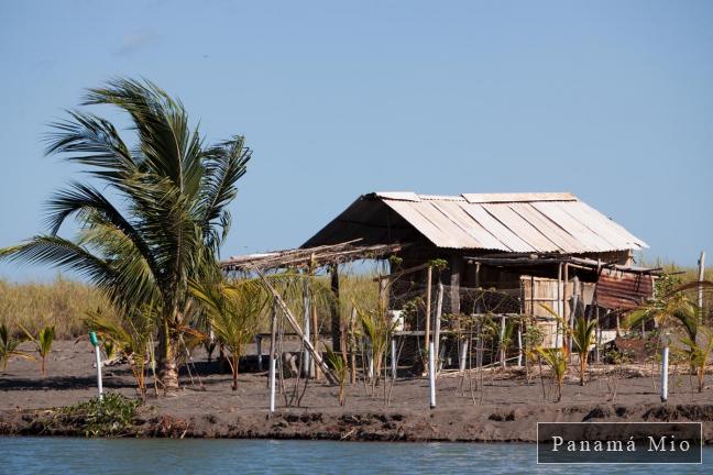 Pequeña Construcción - Estero Rico