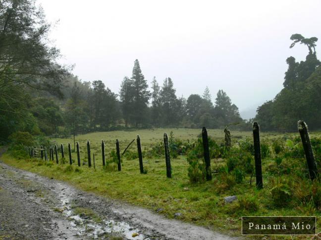 El Sendero de los Quetzales